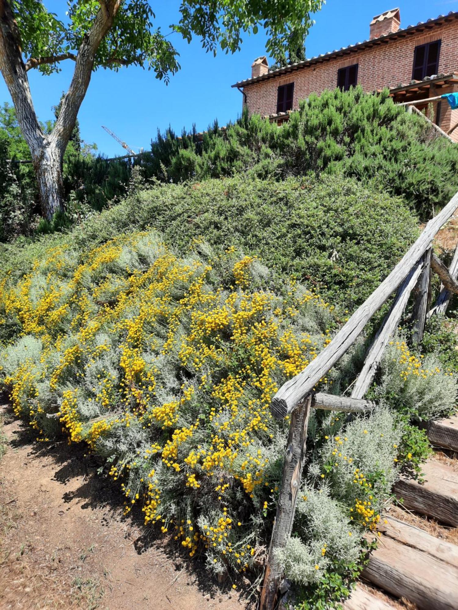 Agriturismo Podere Valdilucciole Città della Pieve المظهر الخارجي الصورة